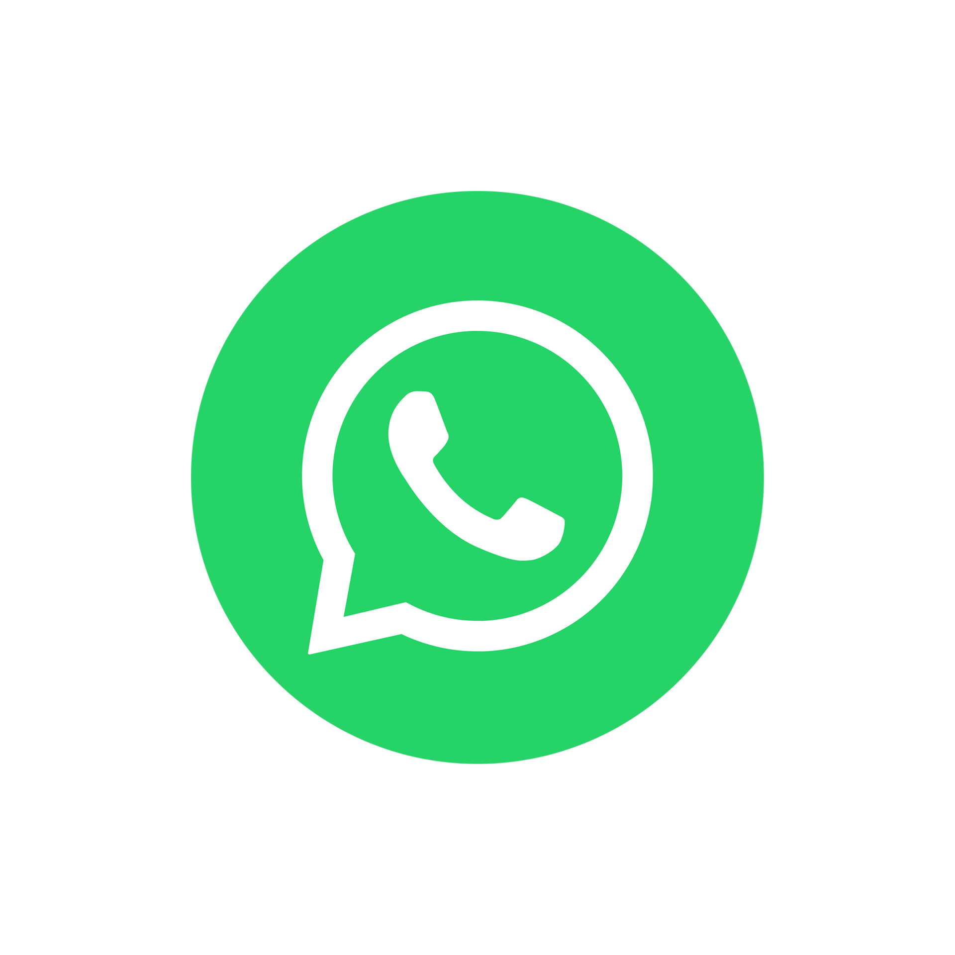Message Chaghig on WhatsApp